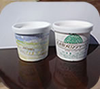 横市アイスクリーム富良野メロンシャーベット